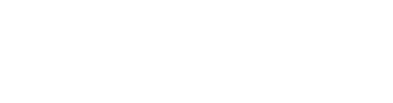 zanfy